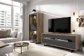 SALON MODULAR Moderno